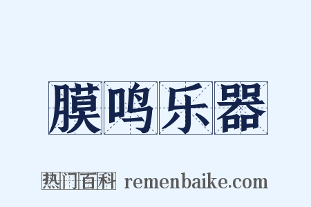 膜鸣乐器是什么意思的图片